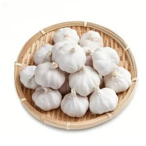 fresh garlic supplier from China