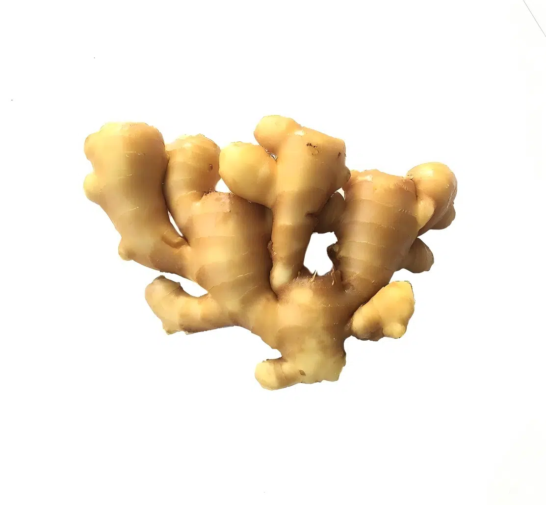 Ginger