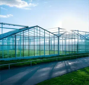 HaiShun AgriTech Smart Greenhouse Solutions with IoT Integration